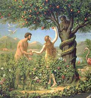 آدم جواب داد: این زن که یار من ساختی، از آن میوه به من داد و من هم خوردم