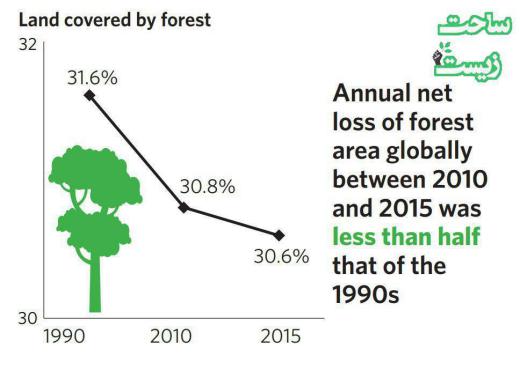 خوشبختانه به نظر می‌رسد سرعت تخریب جنگل‌ها در جهان کمی کاهش یافته است. ساحت زیست