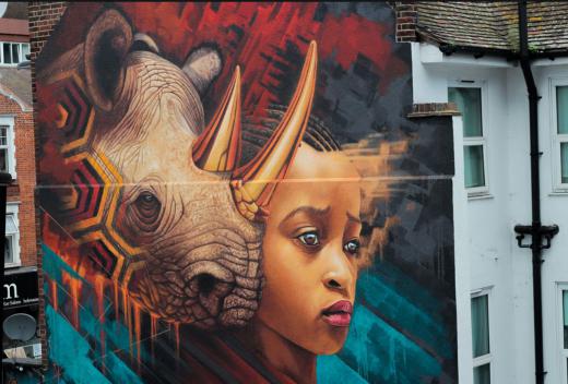 نقاشی‌های دیواری Sonny Sundancer هنرمند آفریقای جنوبی از حیوانات وحشی با ترکیب اِلِمان‌های سنتی در فضای شهرهای بزرگ‌
